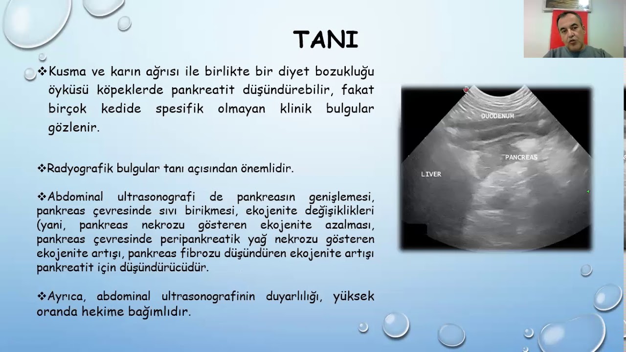 PROF.DR.MEHMET ÇAĞRI KARAKURUM