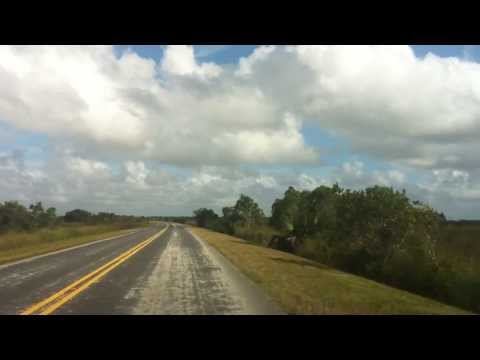 Video: Apakah pengeluar di Everglades?