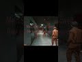 scp secret laboratory I cerberus company @Albi-c8e #scp #games #funny #scpsl #song