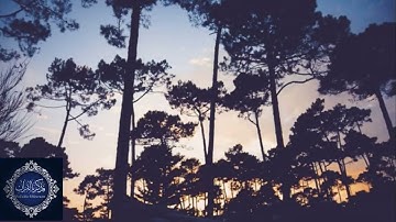 أجمل تلاوة عذبة لا توصف عطر مسامعك