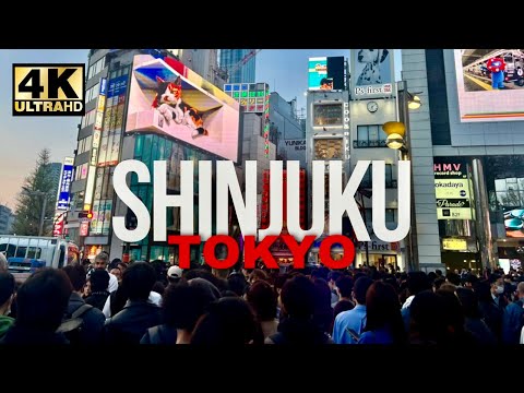 The Famous 3D Cat of Shinjuku Tokyo Japan 🇯🇵 [4K] thumbnail