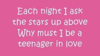 Dion & The Belmonts A Teenager In Love Lyrics