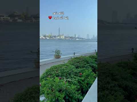 قابلت كتير فرشولي عشان الأرض حرير