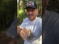 The feud #news #newshorts #newstoday #florida #floridaman #naturelovers #naturephotography #story