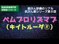 ペムブロリズマブ（キイトルーダ🄬）