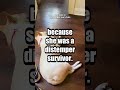 Pup Fighting For Her Life In The Streets Finds Love In A Foster Home | The Dodo