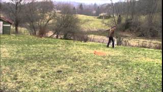 Yermoloffs Sky Pilot Kira 83 2015