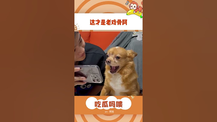 这才是真的老戏骨！！！ #万万没想到 #狗子成精了 #狗狗的心思都写在脸上了#shorts