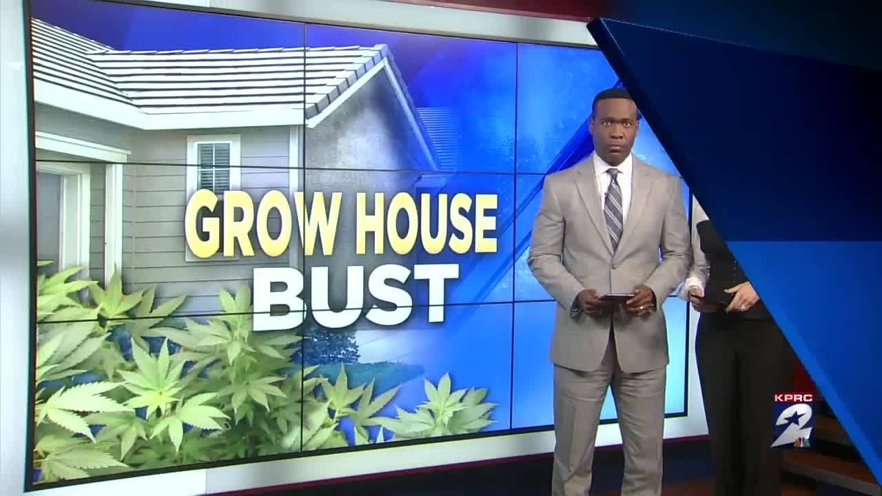 Police bust grow house operation