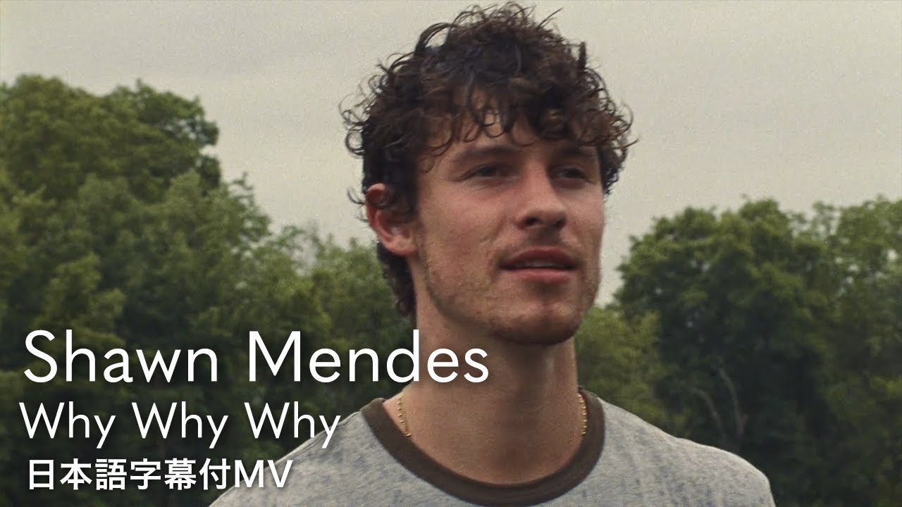 和訳】ショーン・メンデス - Why Why Why / Shawn Mendes - YouTube