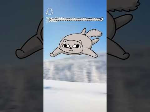 ندور وندور 