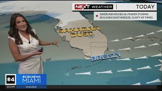 NEXT Weather forecast for Monday 8/21/2023 12PM