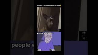 Be the Explanation guy and I'll pin your comment👀