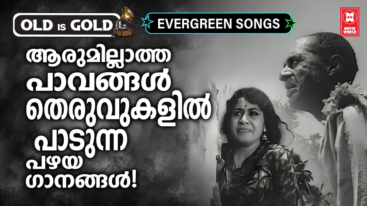 സാധാരണ മലയാളി മനസുകളെ ഒത്തിരി ചിന്തിപ്പിച്ച പഴയ മലയാള സിനിമ ഗാനങ്ങൾ | Hits Of Sheela