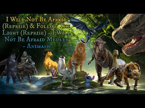 I Will Not Be Afraid (Reprise) & Follow The Light (Reprise) - I Will Not Be Afraid Medley - Animash