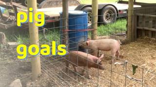 5 goals for the 1st Week @YoungbloodFamilyFarm