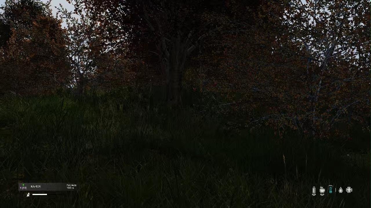 DayZ No Sound, No Problem.
