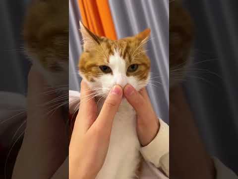  93   