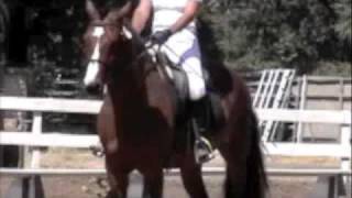 R. Cracker Jack Test 4