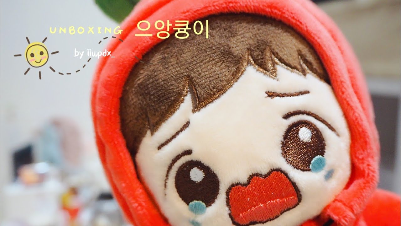 [Unboxing] 으앙큥 @baby_donot_cry baekhyun exodoll by iiwpdx_
