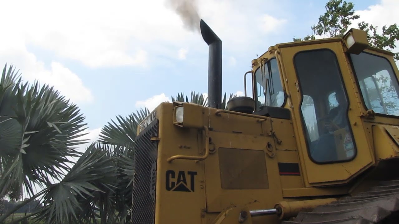 Cat D4