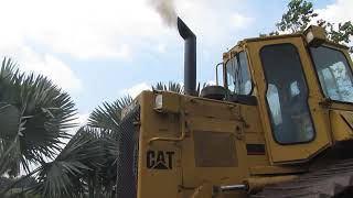 Cat D4