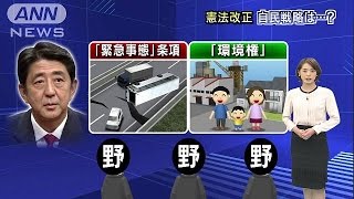 憲法改正に向け、本格的議論始まる　自民の戦略は？(15/05/07)