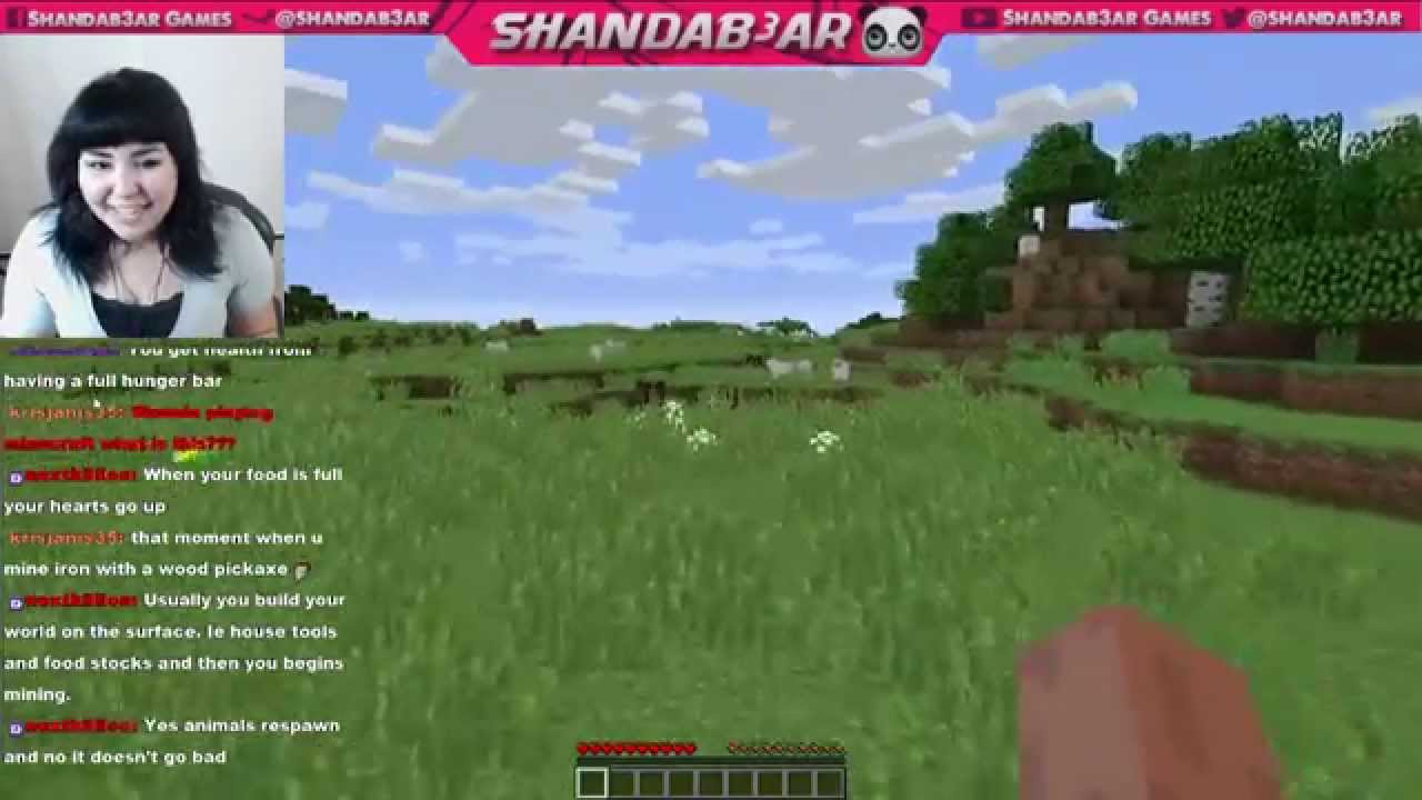 Shandab3ar falls in a hole.... Minecraft Clip