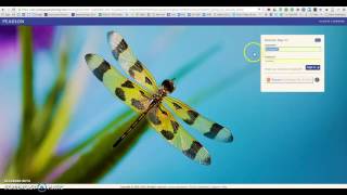 Pearson Online Access SignUp