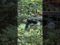 Black Bear Raiding Dumpster at Vacation Rental