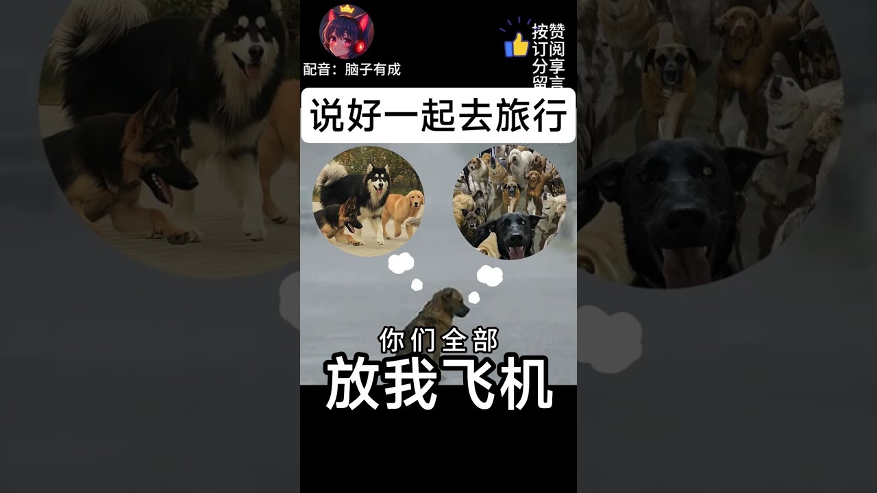 說好的一起旅行 | 梗圖 | 迷因 | 配音 | MYViki