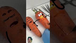 Goodland | Carrot Surgery Gone Wrong β Hundreds of Tiny Carrots Appear! π₯π #cartoon #doodles Goodland | Carrot Surgery Gone Wrong β Hundreds of Tiny Carrots Appear! π₯π #cartoon #doodles