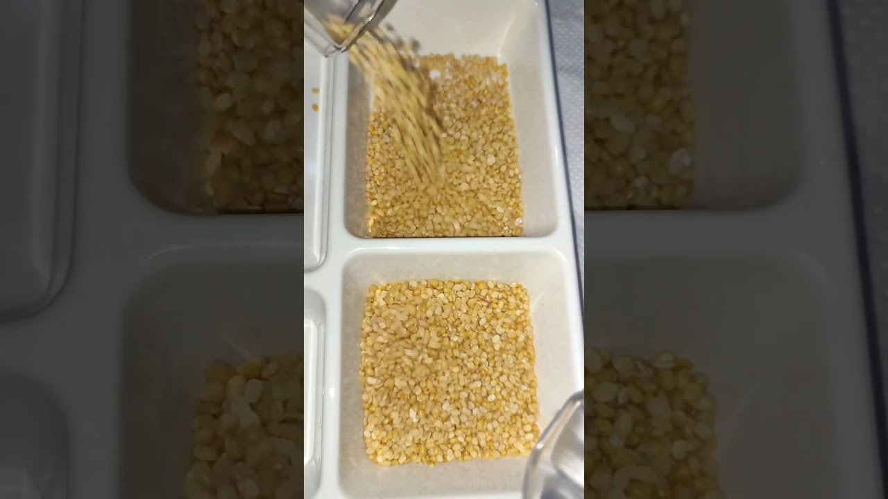 ASMR Lentil Double  Reverse Sound 