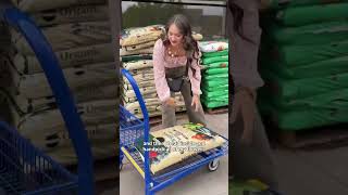 I Just Built My Dream Cut Flower Garden Just In Time For lowes Springfest  ad