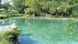 Fuimos a pasear los caballos, al ojo de agua de chekubul. #chekubul hermoso...