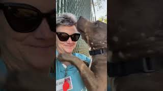 Brooklyn A869778