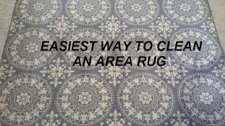 The easiest, fastest, cheapest, and most fun way to clean an area rug
is go a car wash!!