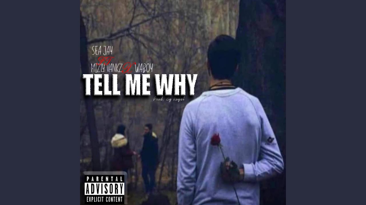 Tell Me Why (feat. Mizly vankz & Waboy) - Sea Jay