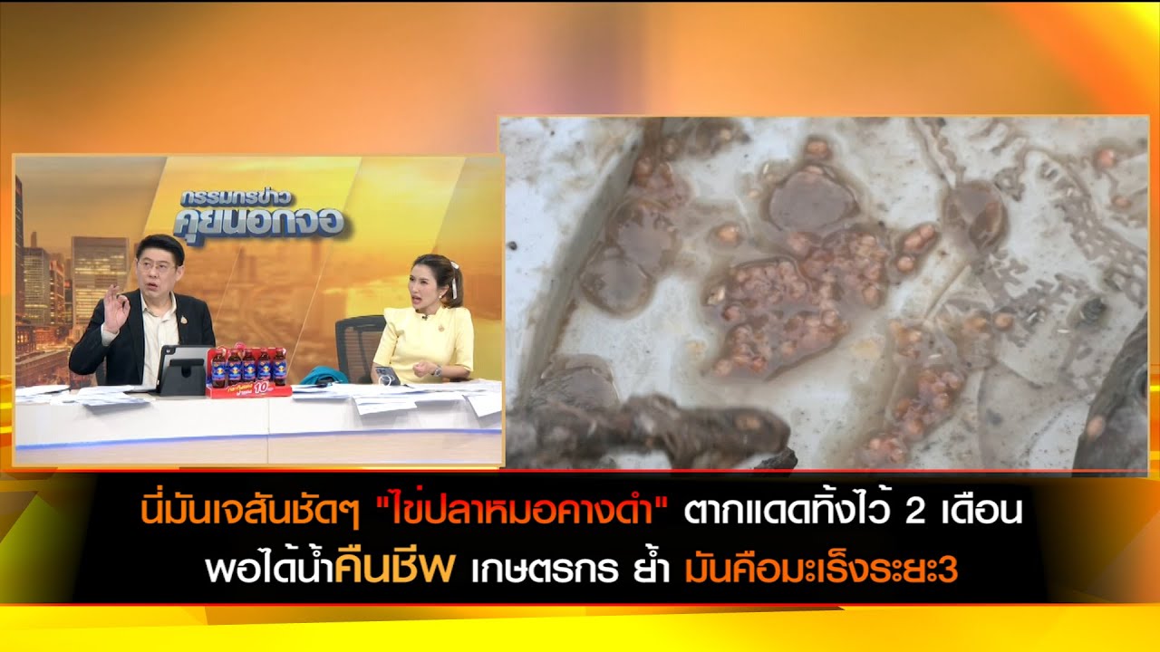 นี่มันเจสันคืนชีพ! "ไข่ปลาหมอคางดำ" ตากแดด 2 เดือน พอได้น้ำ ฟักตัว เกษตรกร ย้ำ มันคือมะเร็งระยะ3