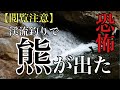 【閲覧注意】追いかけてくるな！！源流へイワナ釣りに行ったら熊が出た　Attacked by a bear