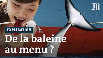 Quel pays mange la baleine