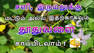 தூதுவளை இலையின் மருத்துவ நன்மைகள் | Health Benefits Of Thoothuvalai leaf |  Tamil Health Tips | Uses