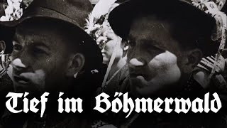 Tief Im Böhmerwald - Bohemian Homeland Song English Subles