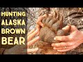 Alaska Kodiak Archipelago Bruins: Brown Bears