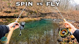 Fly Fishing vs Spin Fishing: Which is better?? (Trout Fishing) 