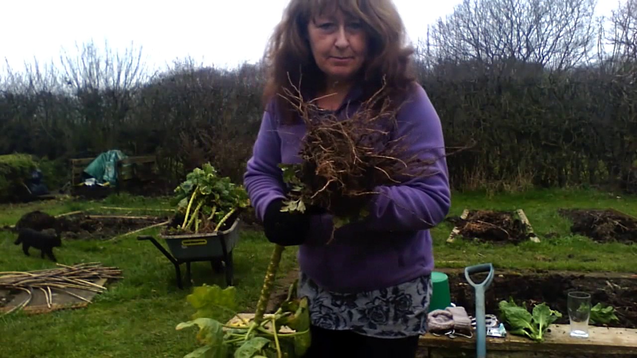 From tiny seeds big things grow! Mrs Waters and Beaky the Bird.