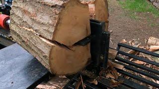 Splitting tree service red oak.