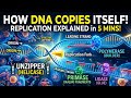 DNA Copy Paste Kaise Hota Hai? Sikho 5 minutes me DNA replication