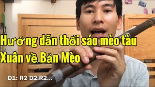 Hướng dẫn thổi sáo mèo tàu: Xuân về bản Mèo || Anh chị Mua sáo Mèo 180k xin LH Cao Trí Minh