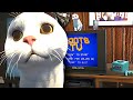 A Game You Control By Meowing &amp; Purring Into Your Mic i am a cat - COOTS TV
